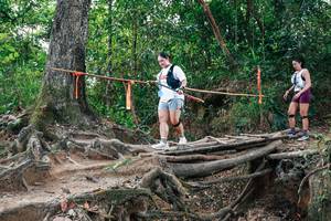 BIB: 
                            <button type="button" onclick="openModal(27724232)" class="btn btn-primary btn-sm float-right btn-popup" data-toggle="modal" data-target=".modal-high-quality">
                        <i class="fas fa-shopping-cart"></i> Add to Cart
                    </button>
                                            <button type="button" onclick="isThisMe(27724232, true)" class="btn btn-success btn-sm float-right btn-popup btn-isme hidden" data-toggle="tooltip" data-placement="bottom" title="นี่คือรูปของคุณใช่ไหม คลิกที่นี่เพื่อเอาเข้าอัลบั้ม">
                        <i class="fas fa-plus"></i> Add to album
                    </button>
                    <button type="button" onclick="isThisMe(27724232, false)" class="btn btn-warning btn-sm float-right btn-popup btn-isnotme hidden">
                        <i class="fas fa-ban"></i> Remove from album
                    </button>